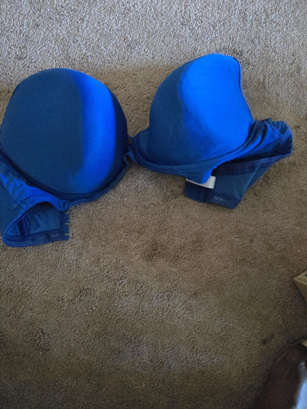 Everyday Push-Up Bra in Bright Blue